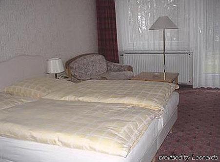 Wolfs Hotel Клаусталь-Целлерфельд Екстер'єр фото